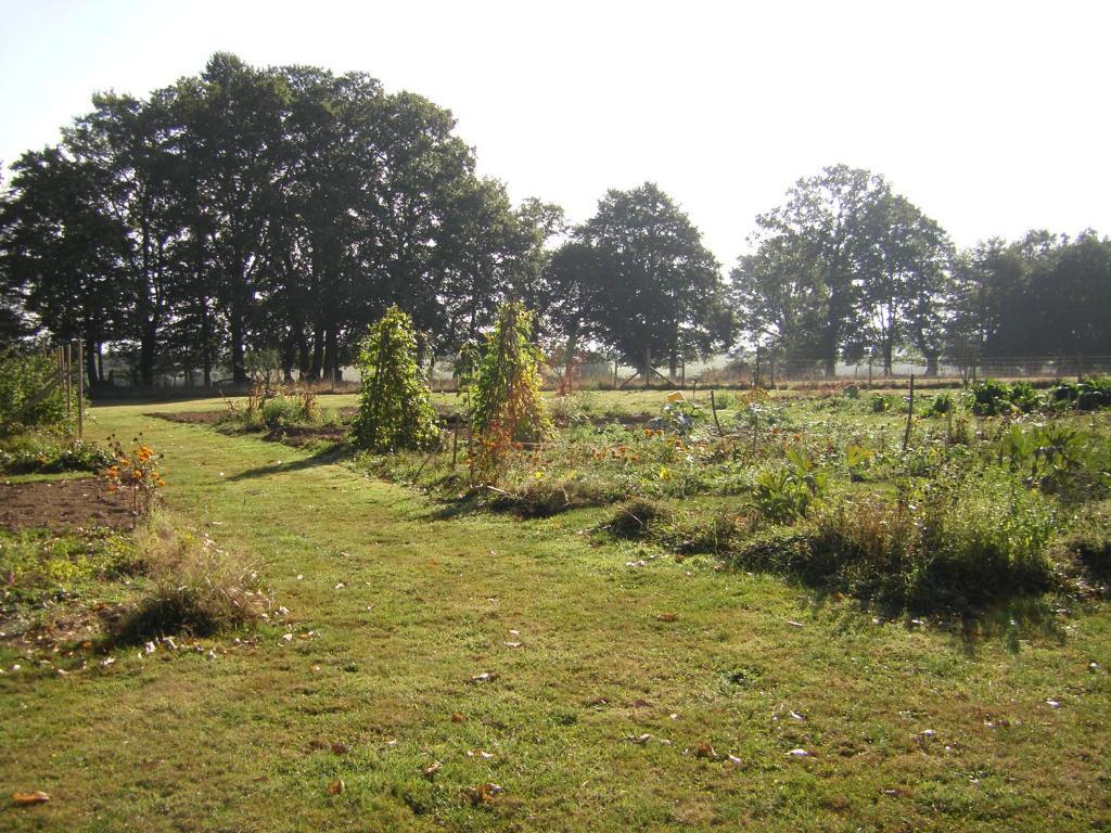 Sainte-Marie-du-Bois  La Cloue Bed & Breakfast エクステリア 写真