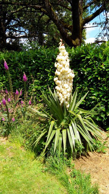 Sainte-Marie-du-Bois  La Cloue Bed & Breakfast エクステリア 写真
